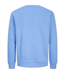 Jack-Jones-Produkt-Blanks_PKTGMS-Blank-Basic-Crew-Neck-Sweat_12263900_Azure-Blue_back_5715603390261_002