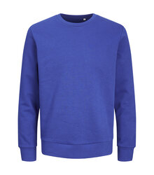 Jack-Jones-Produkt-Blanks_PKTGMS-Blank-Basic-Crew-Neck-Sweat_12263900_Surf-the-Web_front_5715603390438_001