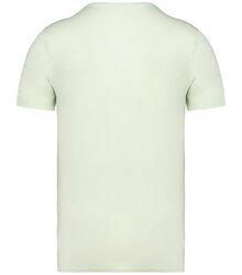 Native-Spirit_Unisex-faded-short-sleeved-t-shirt_NS337-B_WASHEDGREENAPPLE