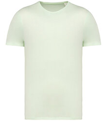 Native-Spirit_Unisex-faded-short-sleeved-t-shirt_NS337_WASHEDGREENAPPLE